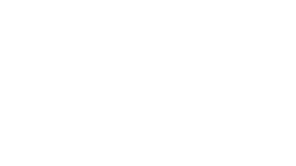 O desenvolvimento do filhote