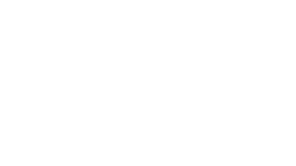 Como lidar com um cão brigão