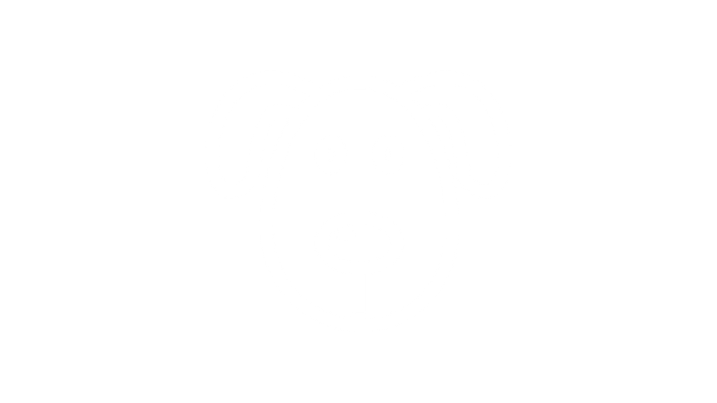 Como escolher um filhote