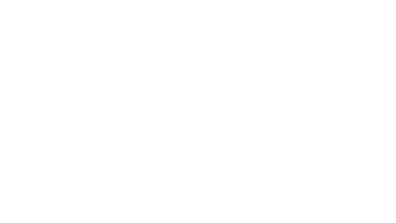 Como escolher um filhote