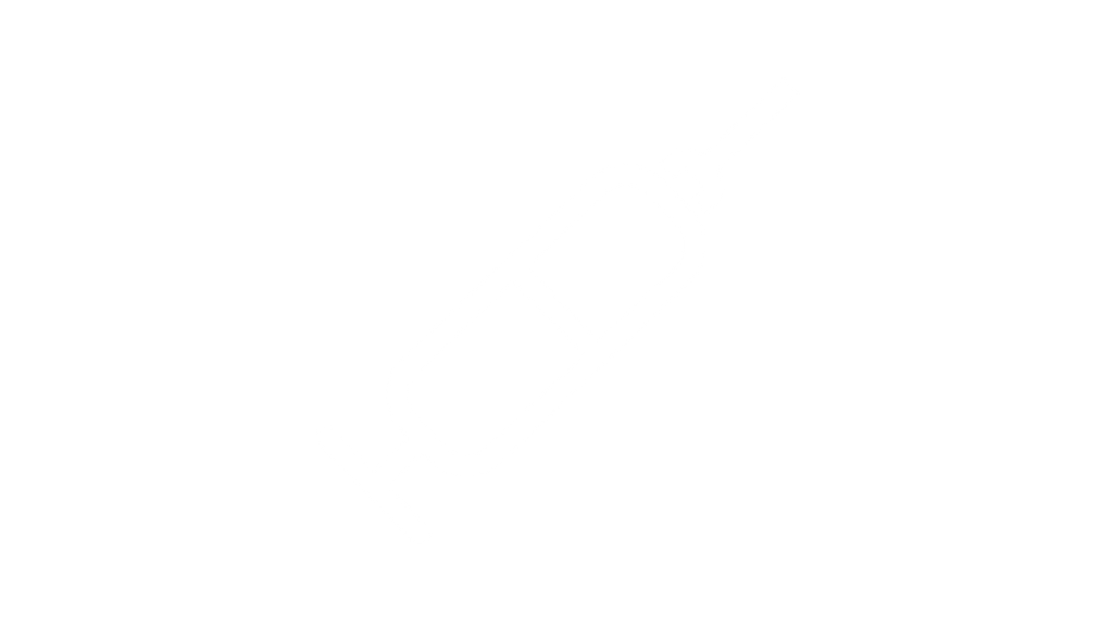OS 10 fatores mais importantes para saber sobre displasia canina de quadril