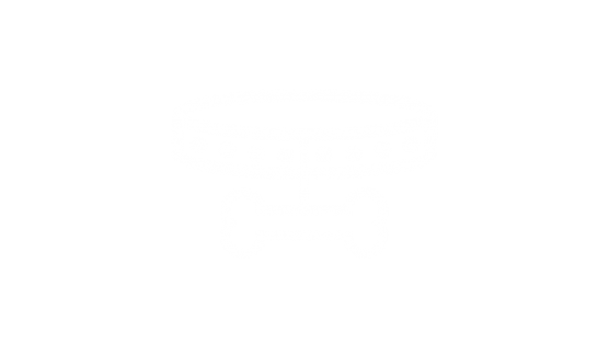 Cores e pigmentação