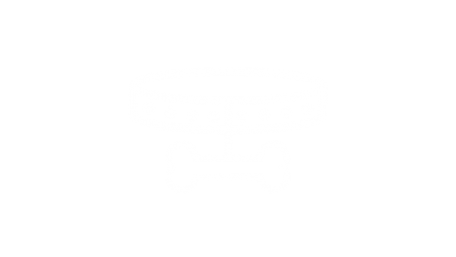 Cores e pigmentação