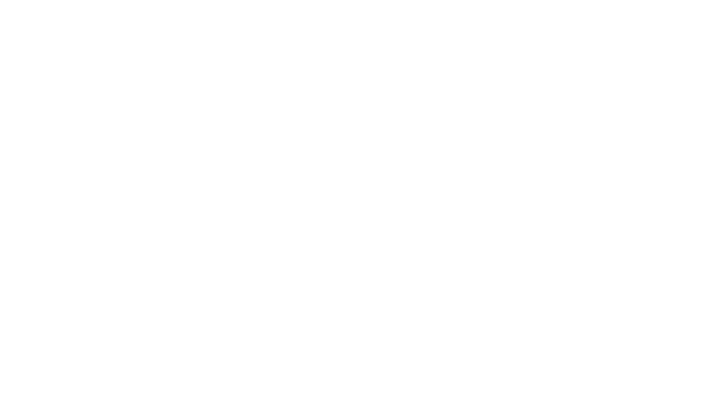 Qual a raça de cão ideal para mim?