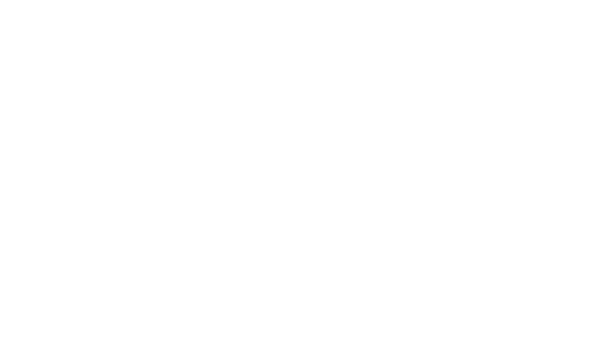 Qual a raça de cão ideal para mim?