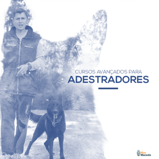 Cursos Avançados Para Adestradores