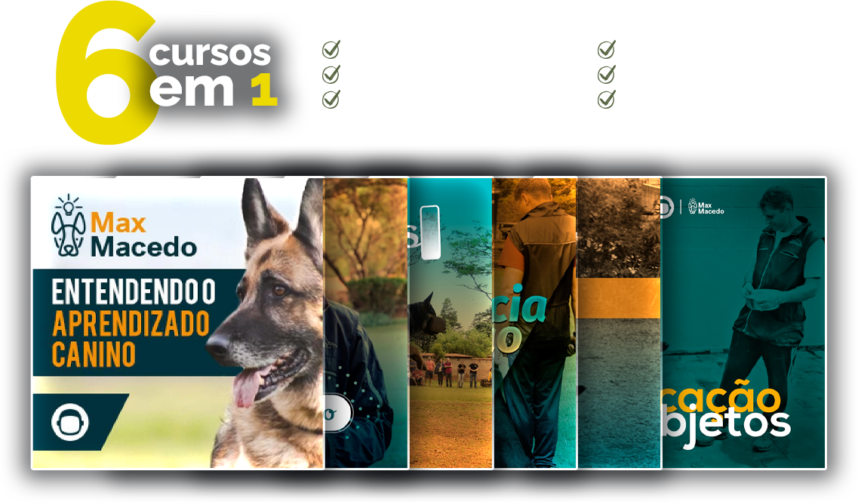 Super Combo - Vá para o Próximo Nível 
